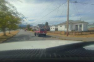 Island Rhino Surf Boards