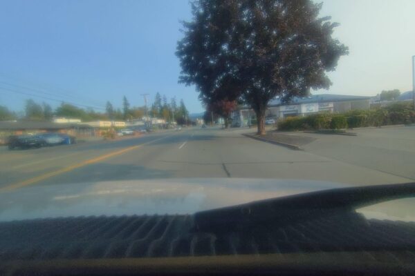 Boundless Beauty Curvy & Maternity