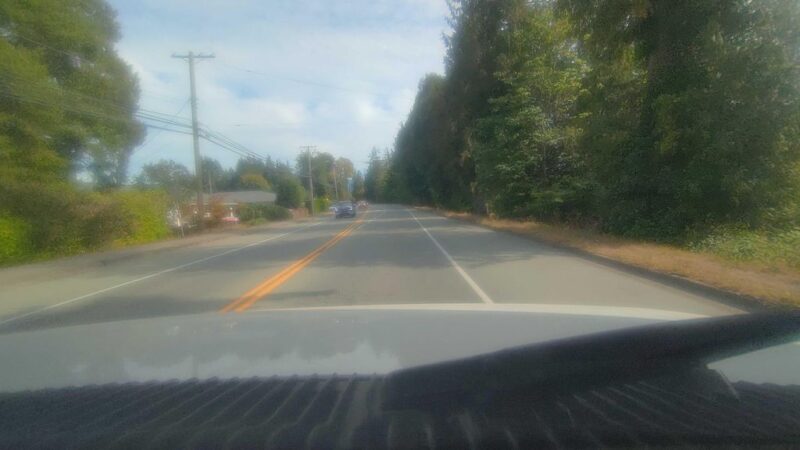 Hummingbird Guesthouse & Charters